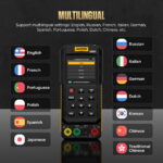 AUTOOL DM303 automotive multimeter multilingual interface